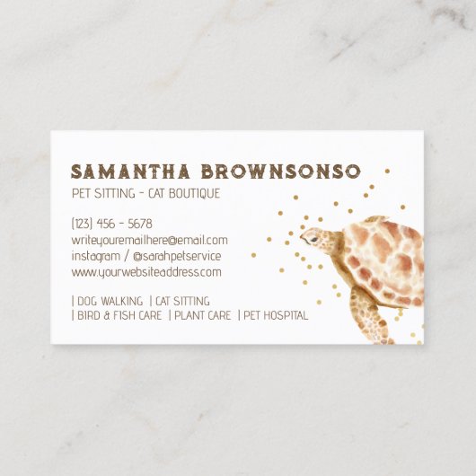 クロアカウミガメ科 カレッタ 名刺 (裏面)