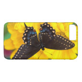 クロアゲハ Case-Mate iPhoneケース (裏面(横))