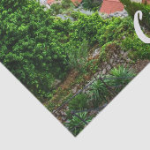 クロアチアの町オミス。 薄葉紙 (詳細)