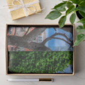 クロアチアの町オミス。 薄葉紙 (ギフト)