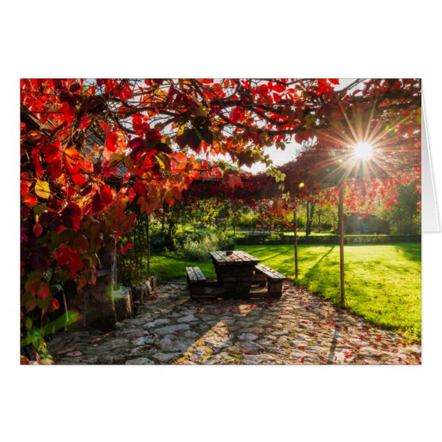 クロアチアの紅葉に差し込む太陽 (正面横)