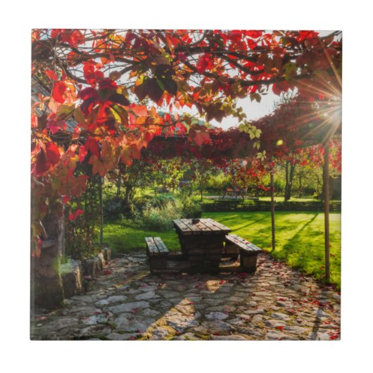 クロアチアの紅葉に差し込む太陽 タイル (正面)