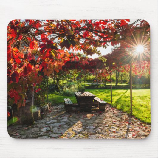 クロアチアの紅葉に差し込む太陽 マウスパッド (正面)