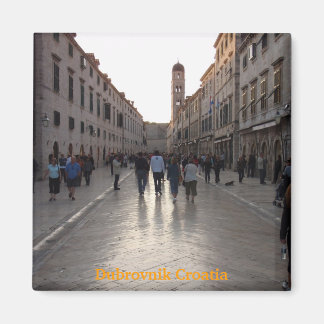 クロアチア冷蔵庫用マグネット マグネット