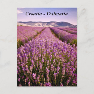 クロアチア – ダルマティア ポストカード