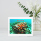 クロアチア – 海辺の生活 ポストカード (スタンド正面)