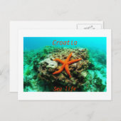 クロアチア – 海辺の生活 ポストカード (正面/裏面)