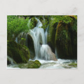 クロアチア–780 ポストカード (正面)