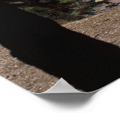 クロアチブラクアイランドボールゴールデンケープビーチ ポスター (角)