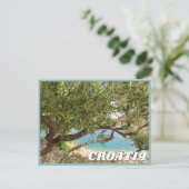 クロア地中海のチアシーオリーブの木の写真 ポストカード (スタンド正面)