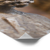 クロイスターの詳細ザカリア族長像 ポスター (角)