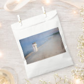 クロイヤー - スカゲンの夏の夕方 フェイバーバッグ (クリップ留めされた状態)