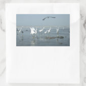 クロウと白ツル:自然のコントラスト 長方形シール (バッグ)