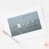 クロウと白ツル:自然のコントラスト 長方形シール (封筒)