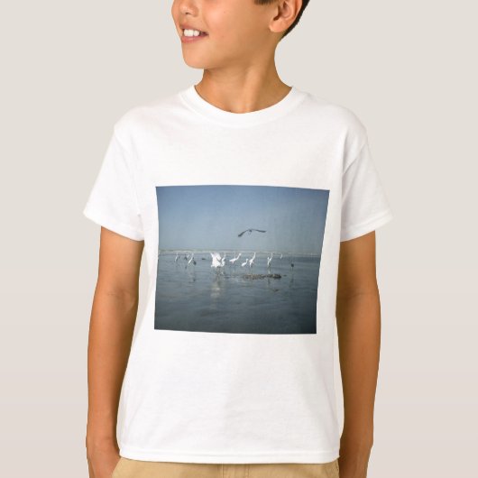 クロウと白ツル：自然のコントラスト Tシャツ (正面)