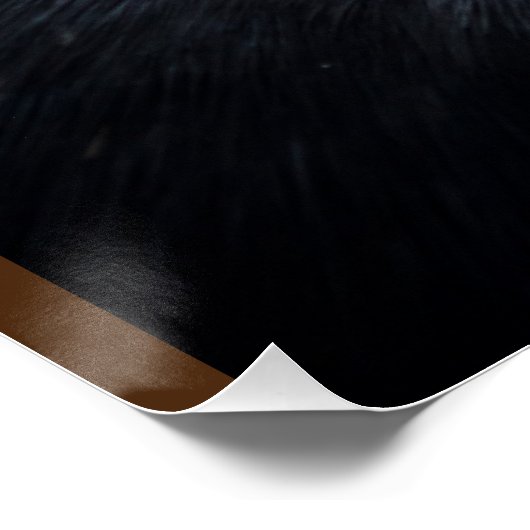 クロウの象徴 ポスター (コーナー)