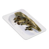 クロウインディアン、プレート13のボリューム1から'旅i マグネット (右側)