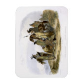 クロウインディアン、プレート13のボリューム1から'旅i マグネット (縦)