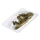 クロウインディアン、プレート13のボリューム1から'旅i マグネット (左側)