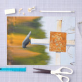 クロウオータムオレンジデコパージュ 薄葉紙 (クラフト)