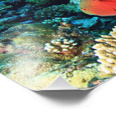 クロウガニの鞘の首 フォトプリント            (角)