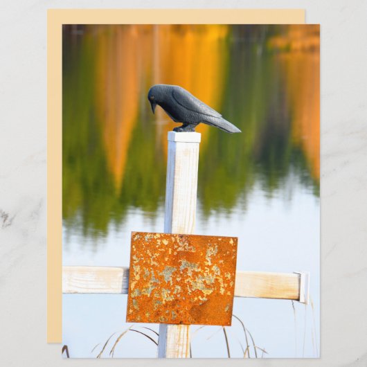 クロウゴシックオータムオレンジデクページ (正面/裏面)