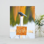 クロウゴシックオータムオレンジデクページ (スタンド正面)