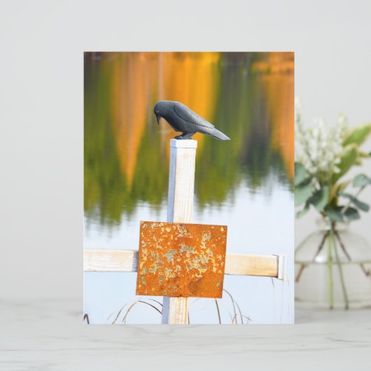 クロウゴシックオータムオレンジデクページ (スタンド正面)