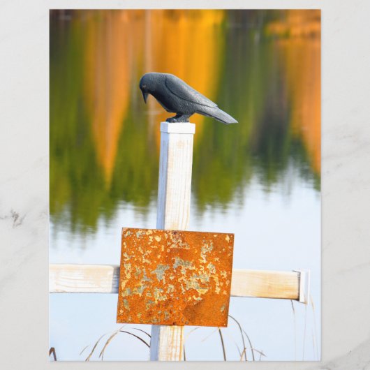 クロウゴシックオータムオレンジデクページ (正面)