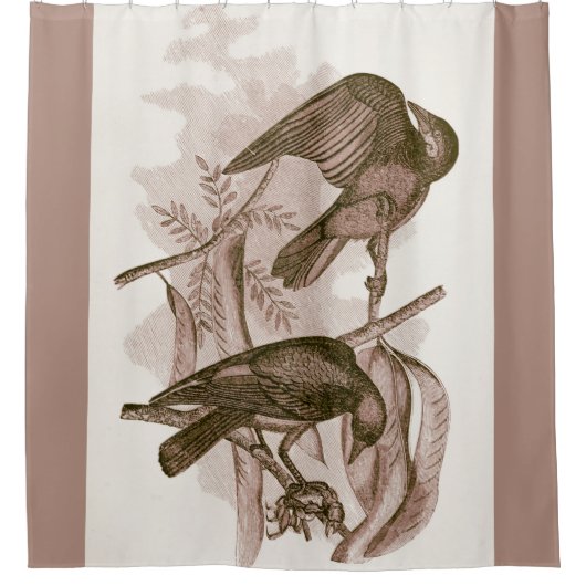 クロウズのブラックバード写真 シャワーカーテン (正面)