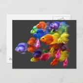 クロウズラの虹 ポストカード (正面/裏面)