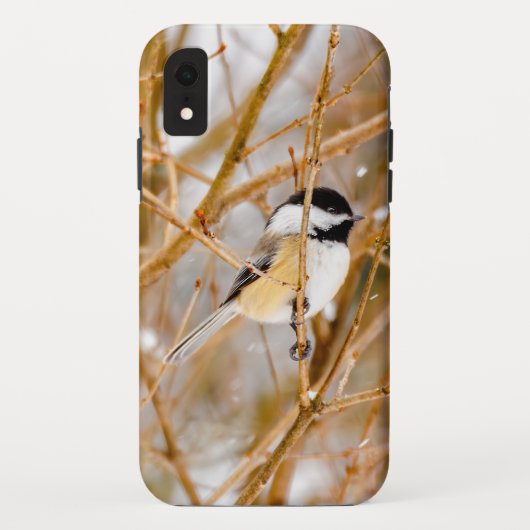 クロウタドリ - オリジナル写真 Case-Mate iPhoneケース (裏面)
