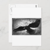 クロウデラックス ポストカード (正面/裏面)