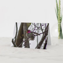 クロウハメカード