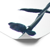 クロウバードアクロバティックのポスター ポスター (角)