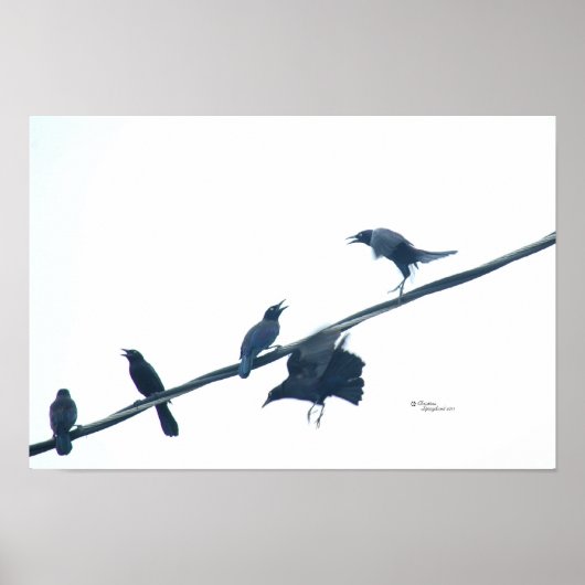 クロウバードアクロバティックのポスター ポスター (正面)