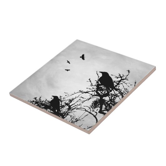 クロウバードデザイン43 タイル (側面)