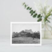 クロウビュートFt近く。ロビンソン写真 ポストカード (スタンド正面)