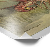 クロウフィッシュまたはとげのあるロブスターヴィンテージプリント フォトプリント            (角)