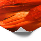 クロウフィッシュプリント ポスター (角)