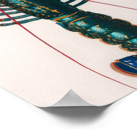 クロウフィッシュ図解入りの、写真付きのヴィンテージ ポスター (角)