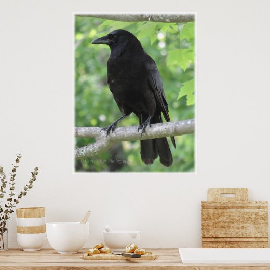 クロウポスター ポスター (キッチン)