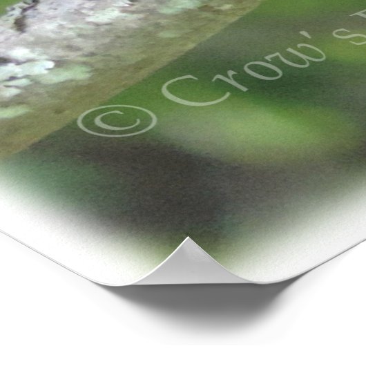 クロウポスター ポスター (角)