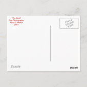 クロウポストカード ポストカード (裏面)