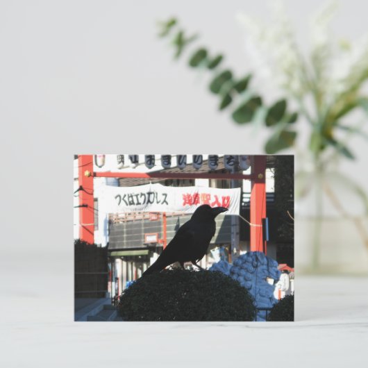 クロウ日本の ポストカード (スタンド正面)
