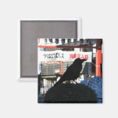 クロウ日本の マグネット (正面/裏面)