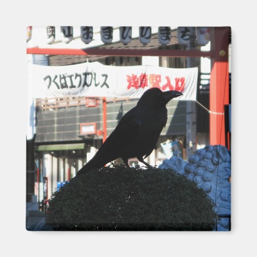 クロウ日本の マグネット (正面)