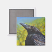 クロウ春スカイ マグネット (正面/裏面)