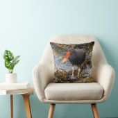 クロウ素晴らしムとブラックオヤスタキャッチャーのショアバード クッション (椅子)