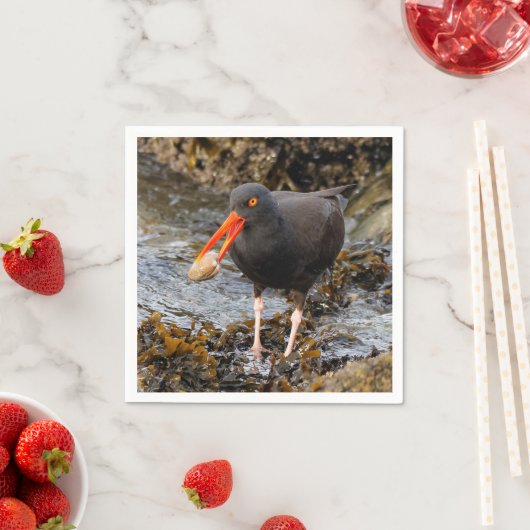 クロウ素晴らしム付きブラックオイスターキャッチャー スタンダードカクテルナプキン (インサイチュ)